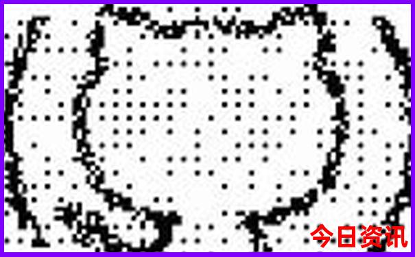 暑假带娃去哪里旅游不热又好玩